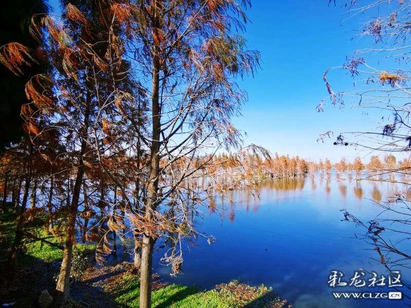 虫虫助手下载